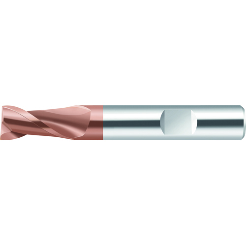 6mm Diameter x 6mm Shank, 57mm O.A.L. 2-Flute AlCrSiN Coated Carbide Walter Prototyp Perform Square Shoulder End Mill product photo Front View L