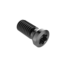 C06018-T25P Lock Screw For Indexables product photo