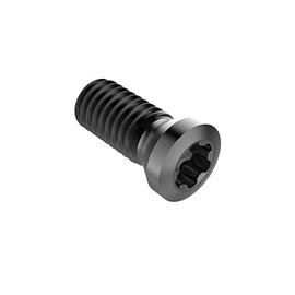 C02206-T07P Lock Screw For Indexables product photo