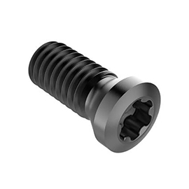 C03511-T10P Lock Screw For Indexables product photo