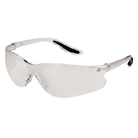 Clear Fog Free Z500 Safety Eyewear  product photo