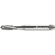 #6-32 3-Flute TiN Coated HSS-E Walter Prototyp Perform Spiral Flute Tap product photo